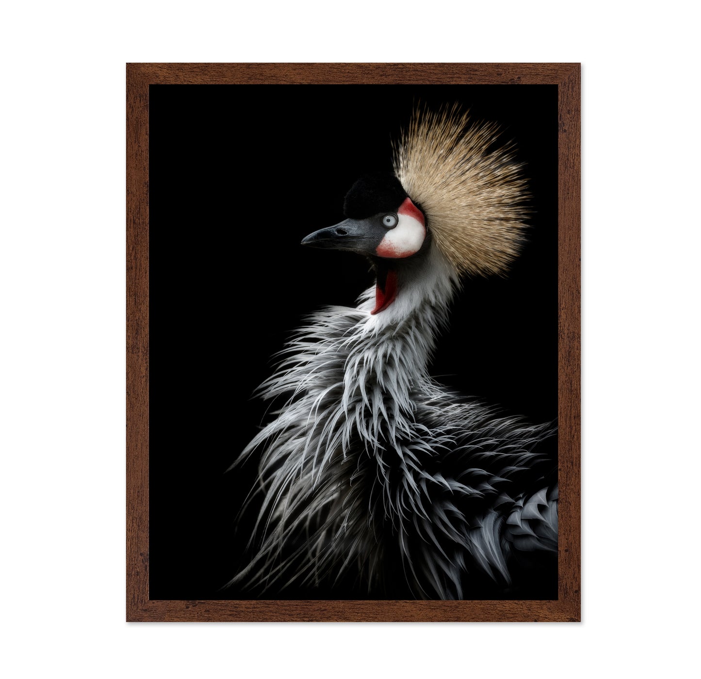 Crowned Crane's Portrait