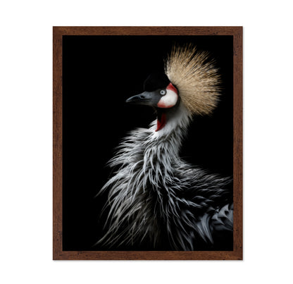 Crowned Crane's Portrait