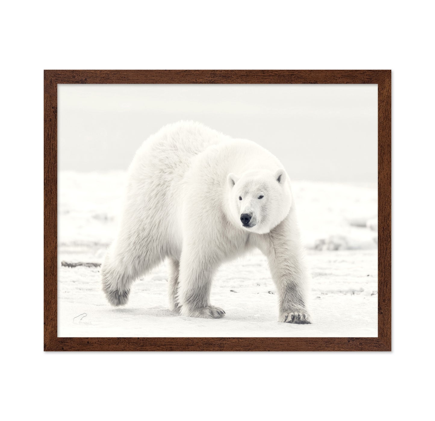 Alaskan King