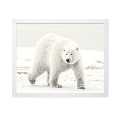 Alaskan King