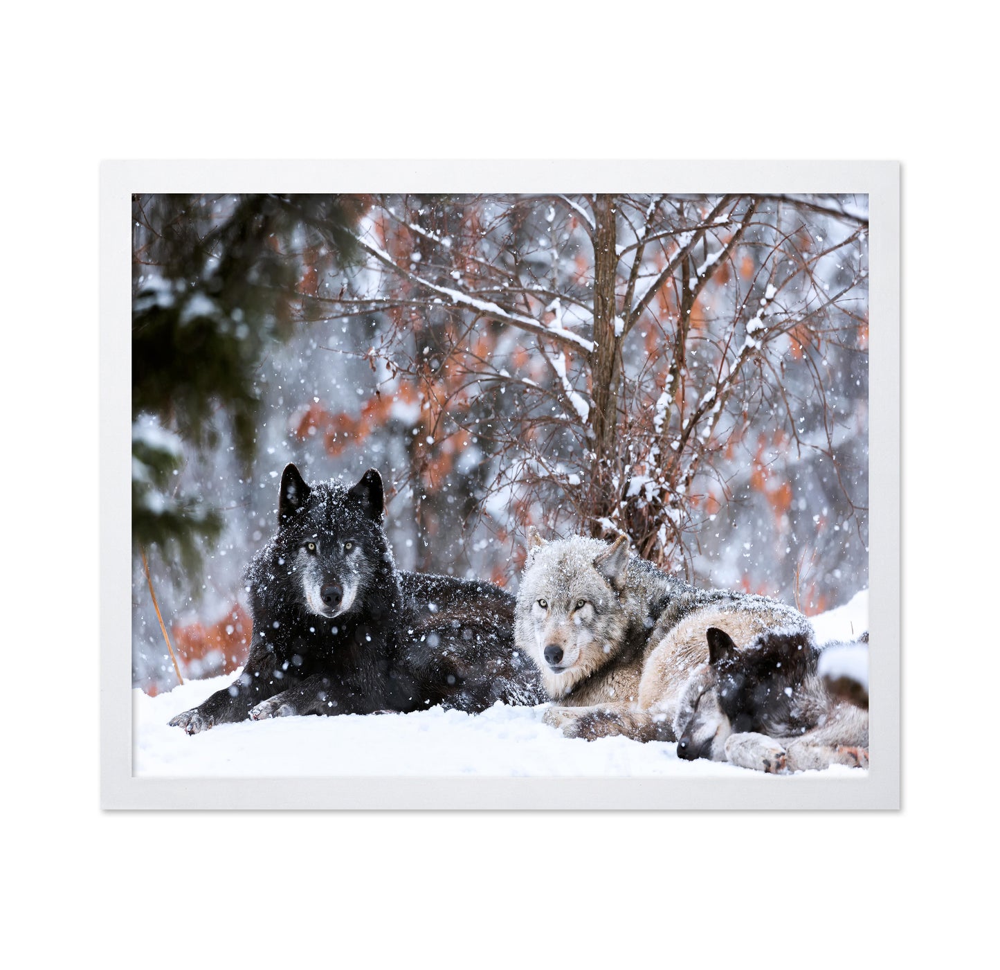 Family Portrait