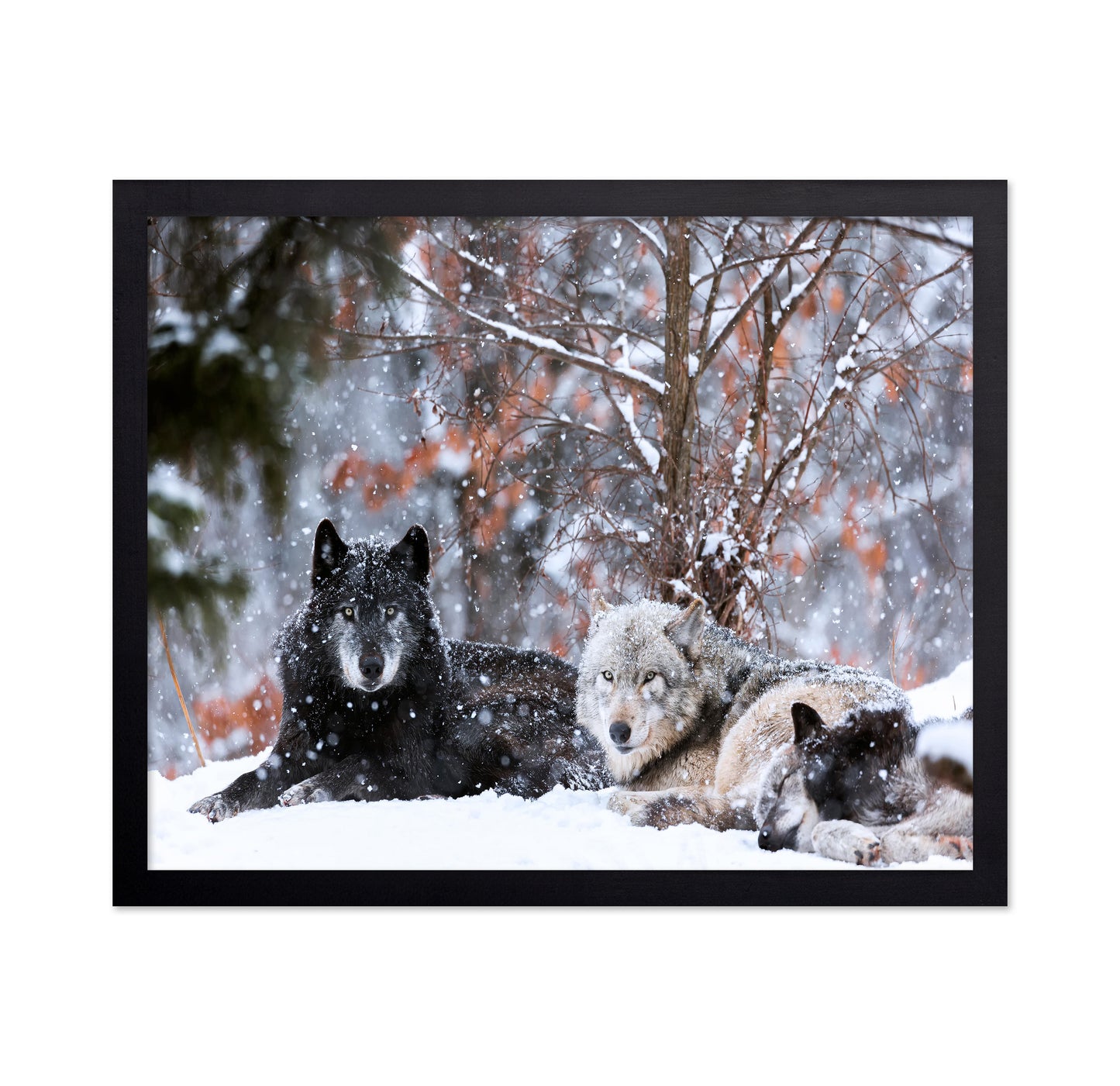 Family Portrait