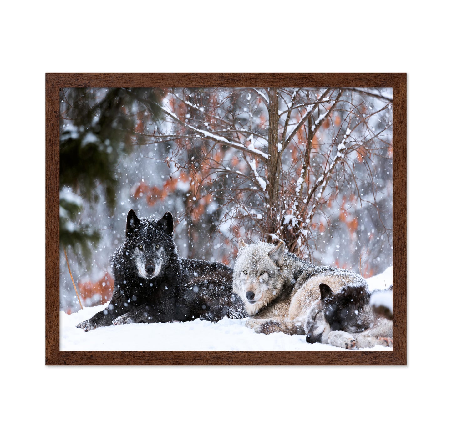 Family Portrait