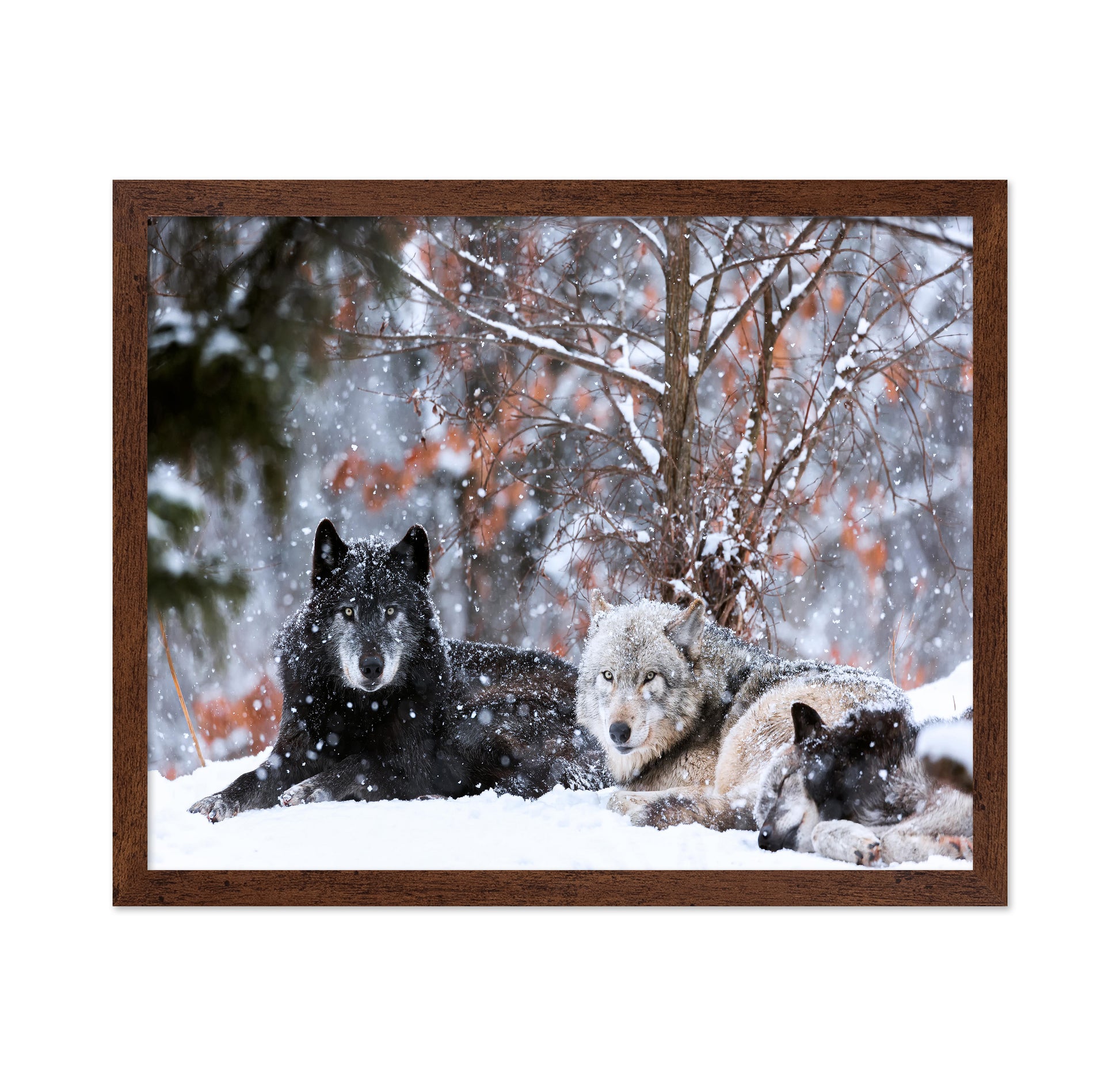 Family Portrait