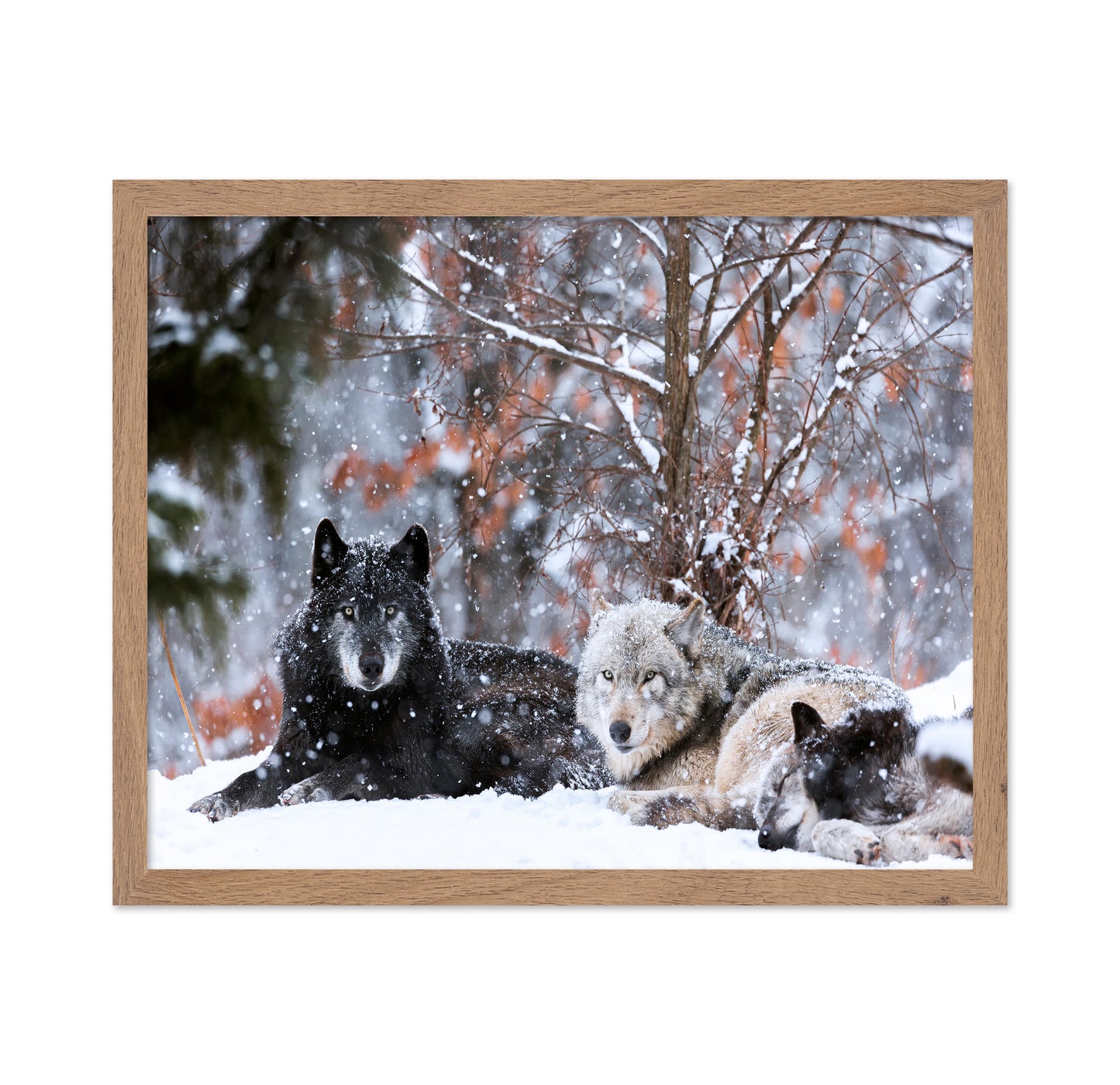 Family Portrait