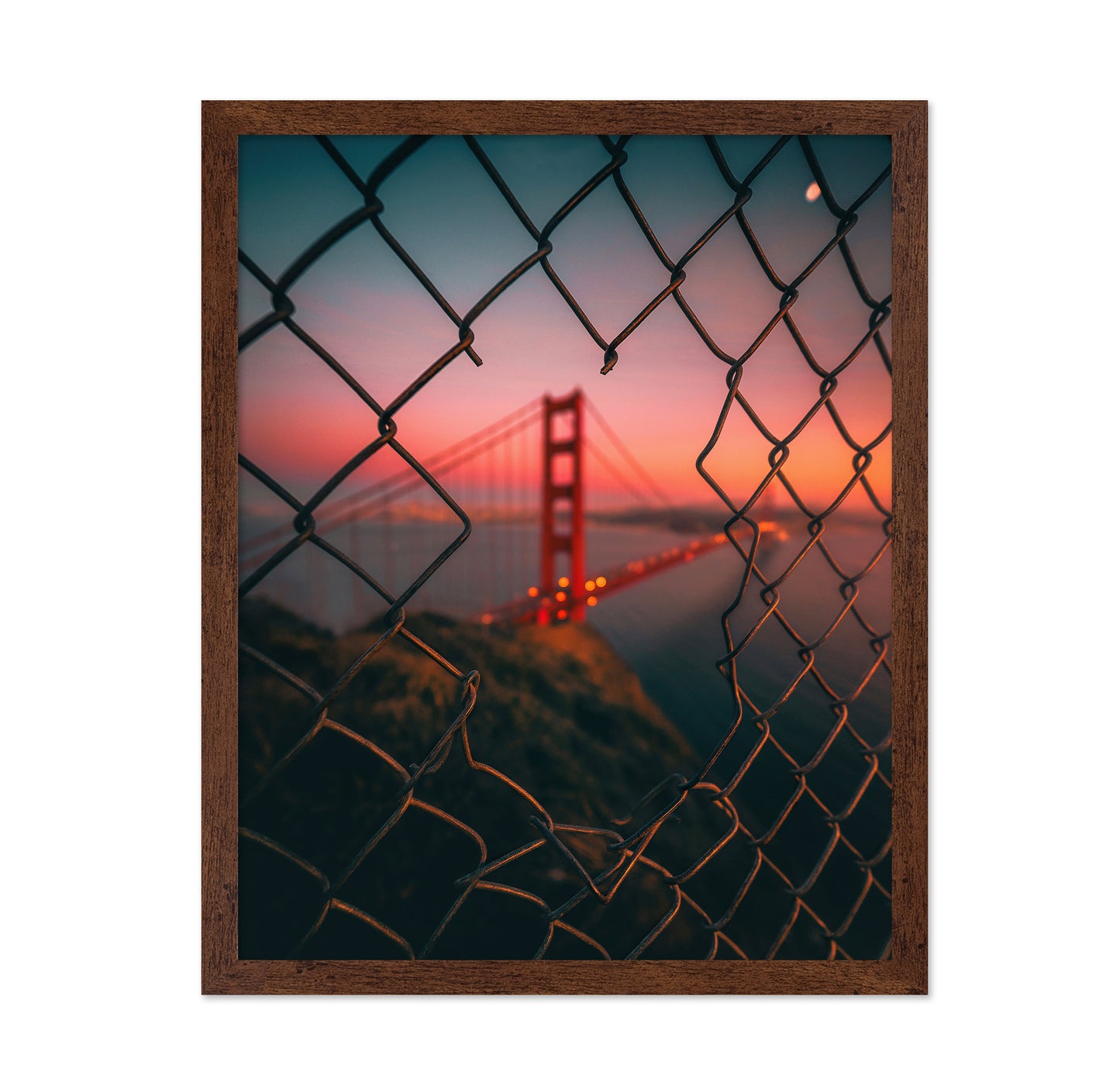 Golden Gate Caged