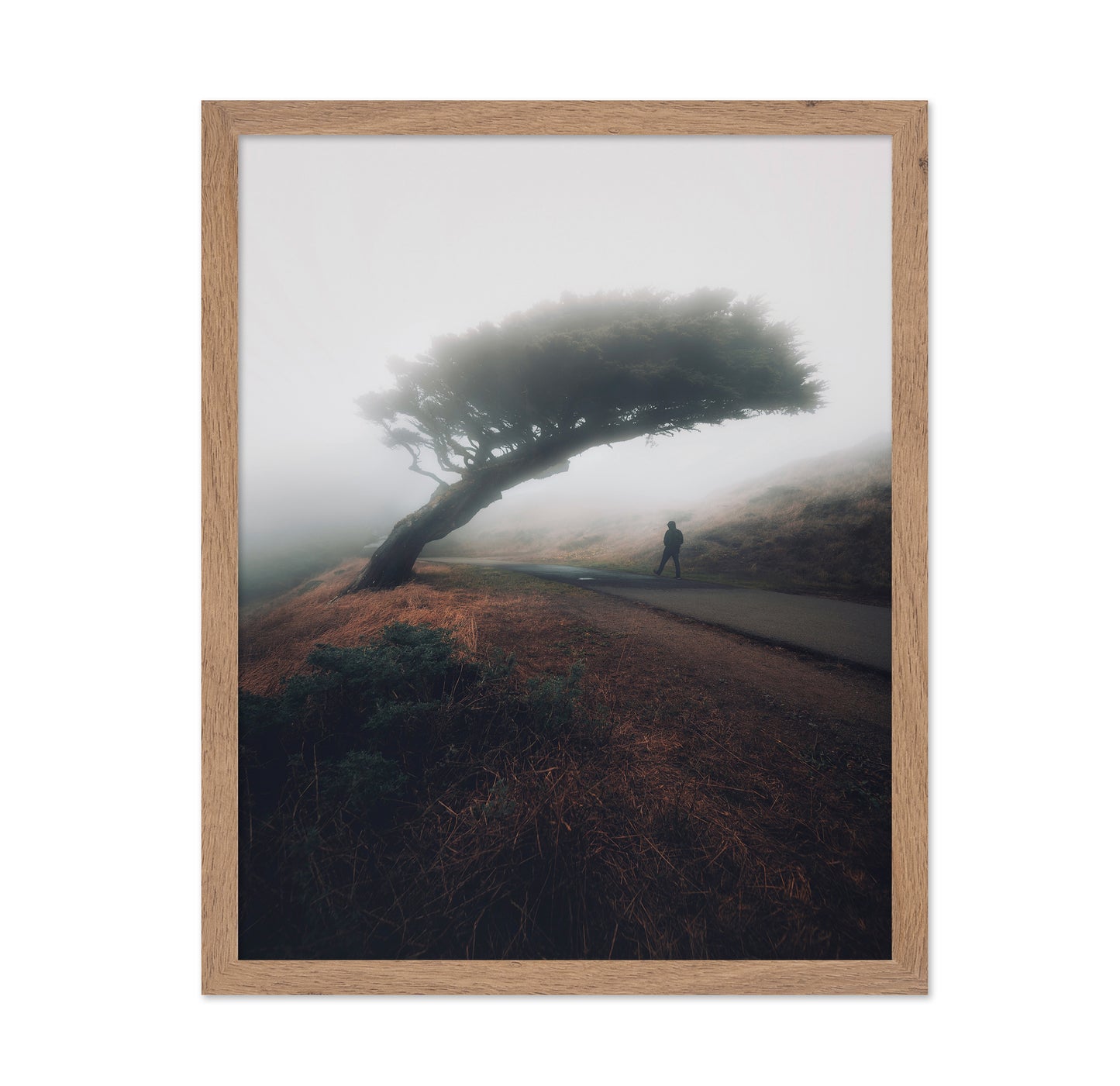 Moody Point Reyes