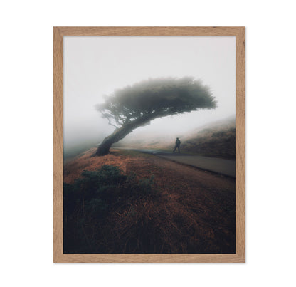 Moody Point Reyes