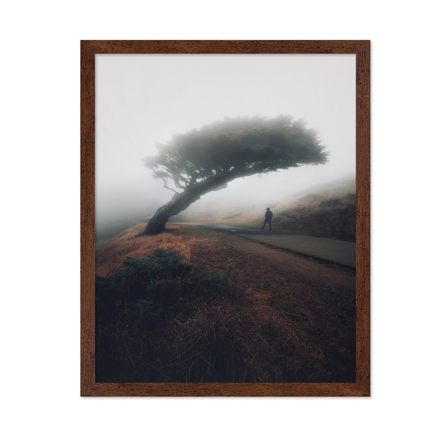 Moody Point Reyes