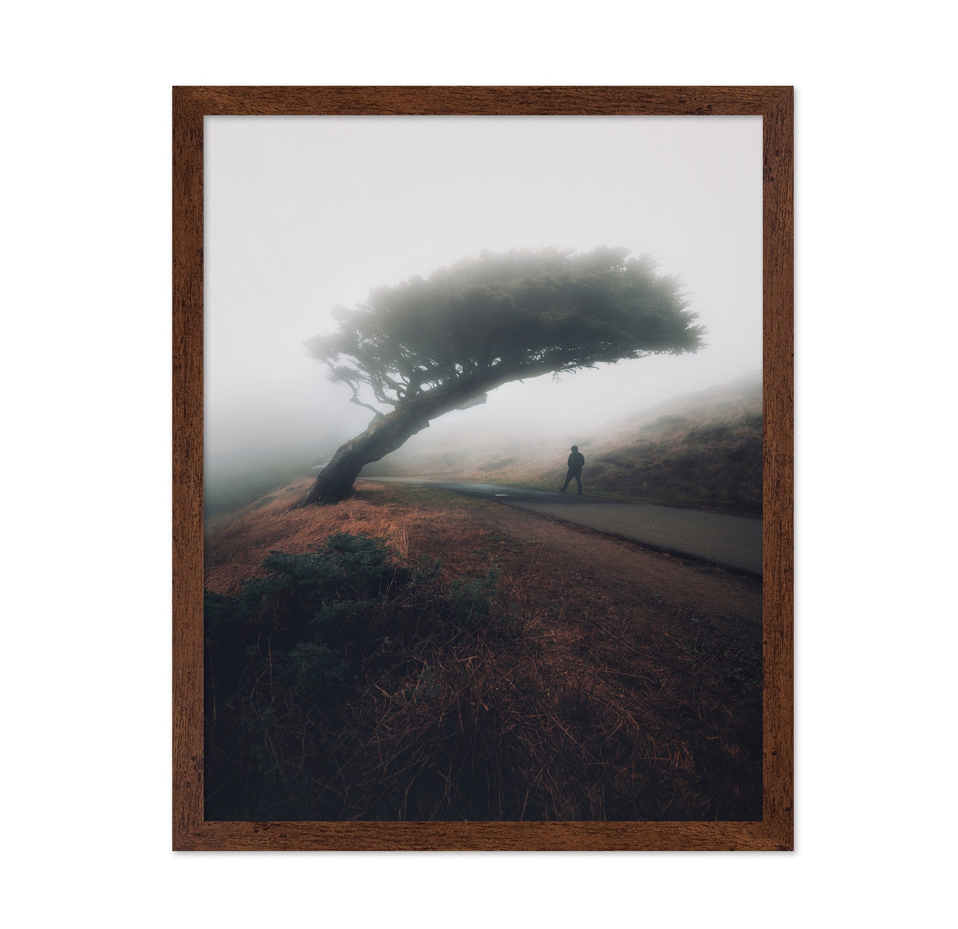 Moody Point Reyes