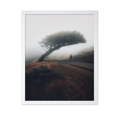 Moody Point Reyes