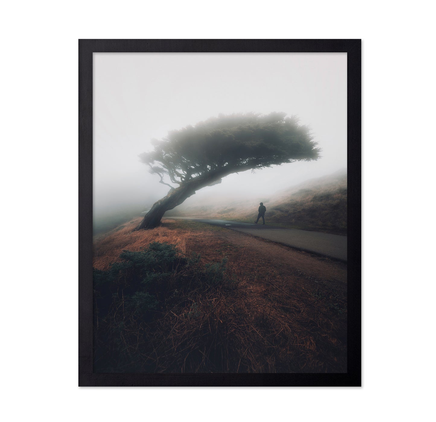 Moody Point Reyes