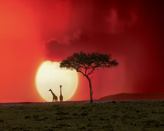 Sunset At Kenya