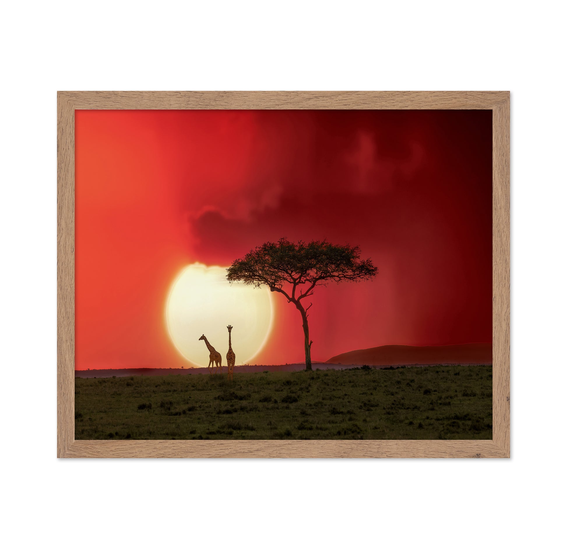 Sunset At Kenya