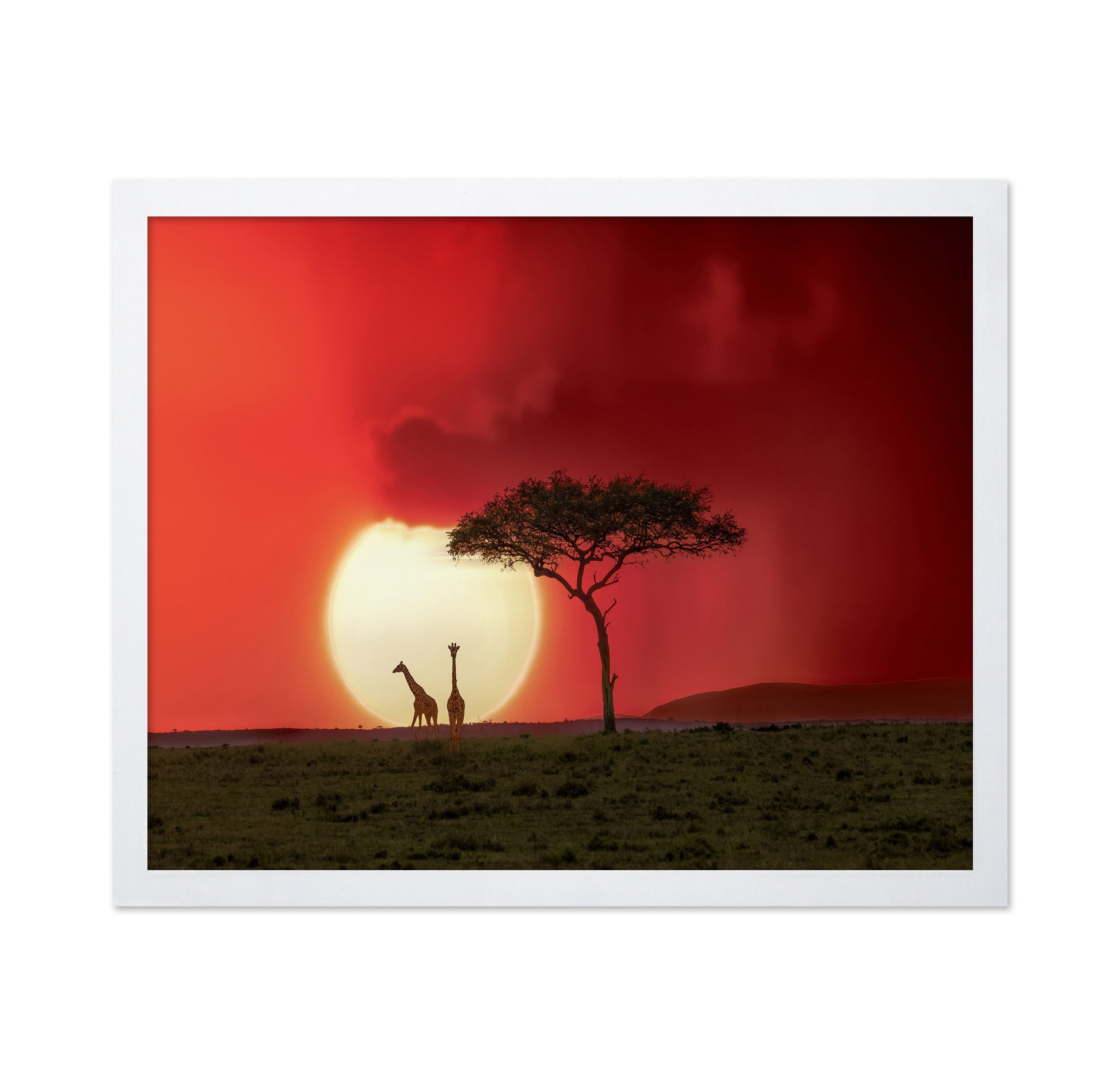 Sunset At Kenya