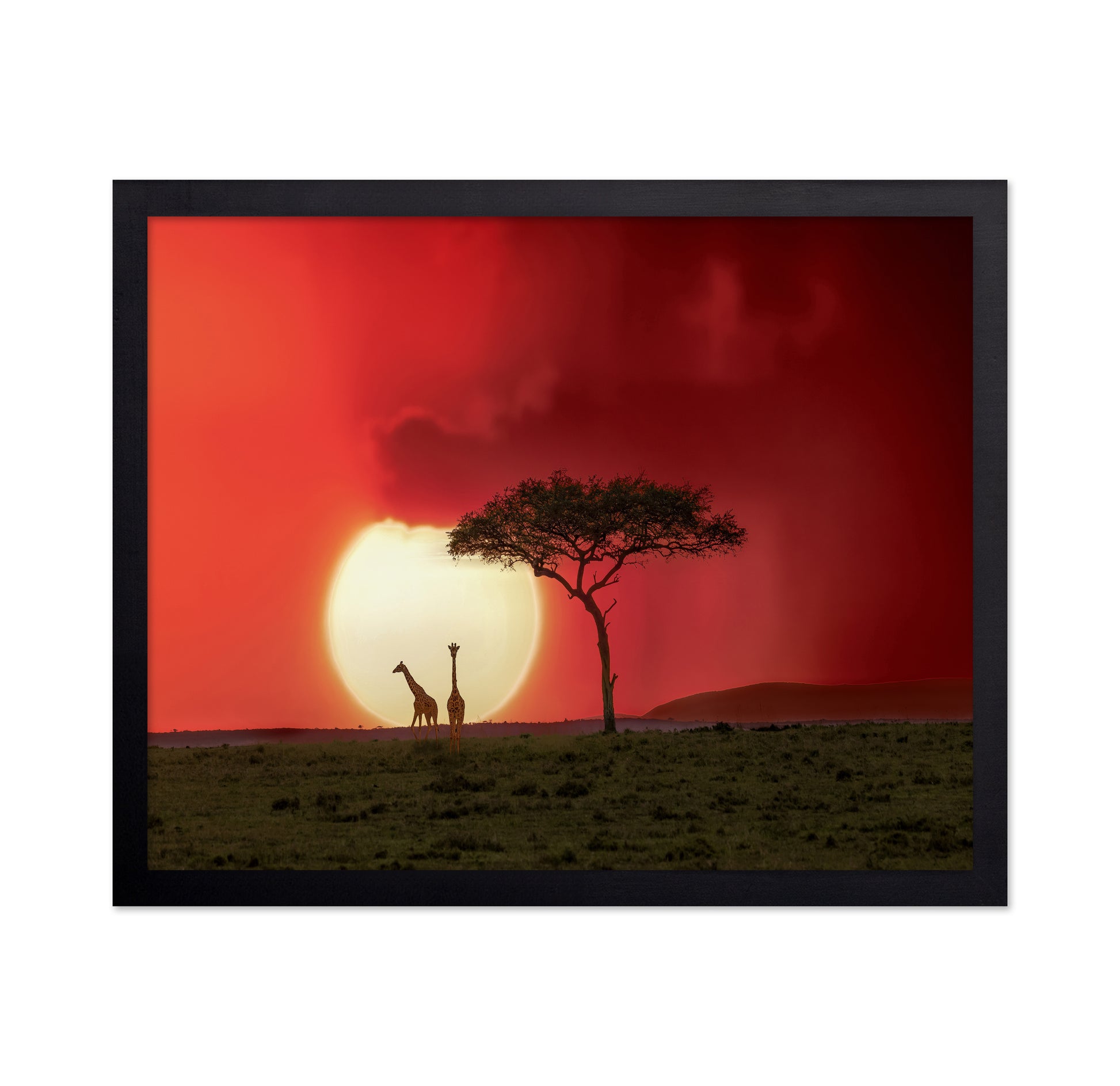 Sunset At Kenya