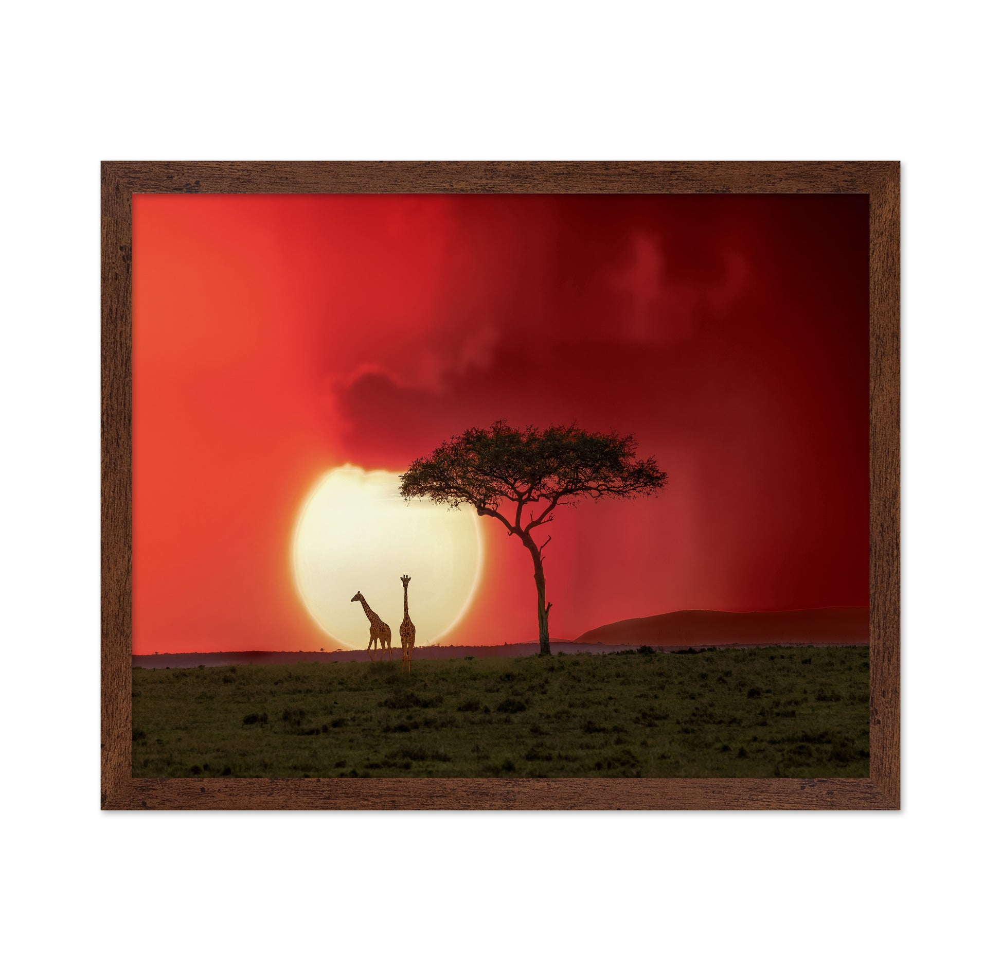 Sunset At Kenya
