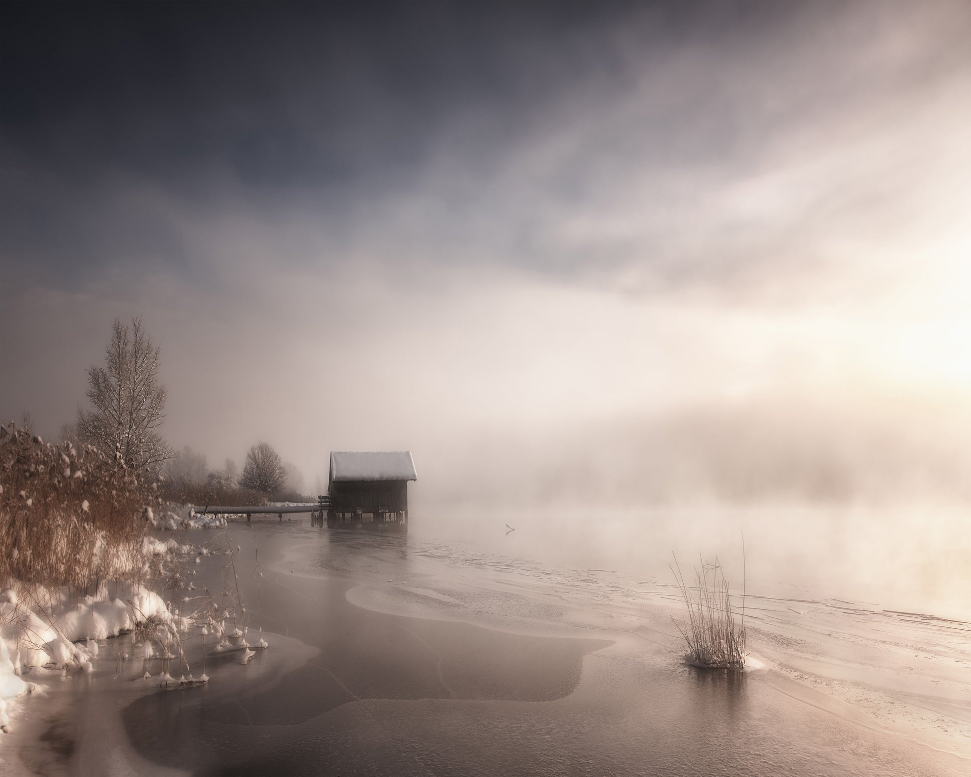 Misty Winter Morning