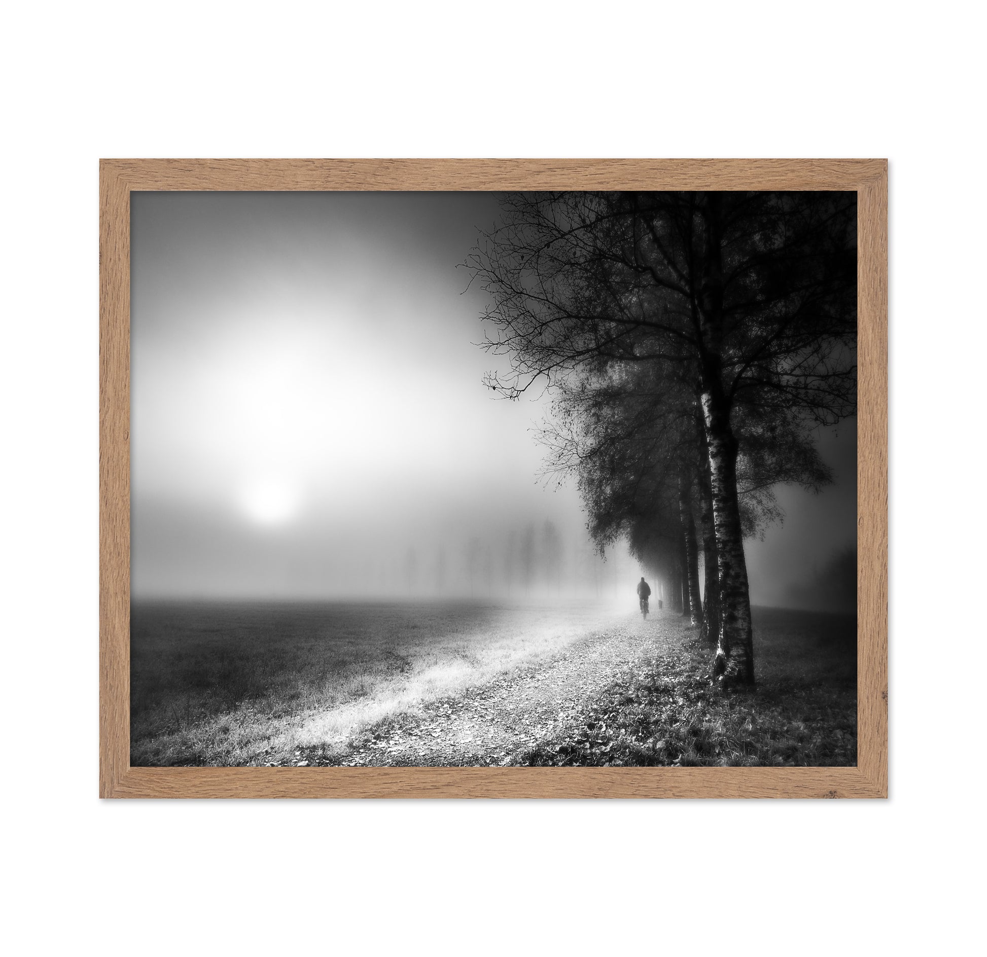 Foggy Morning