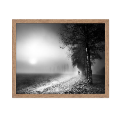 Foggy Morning