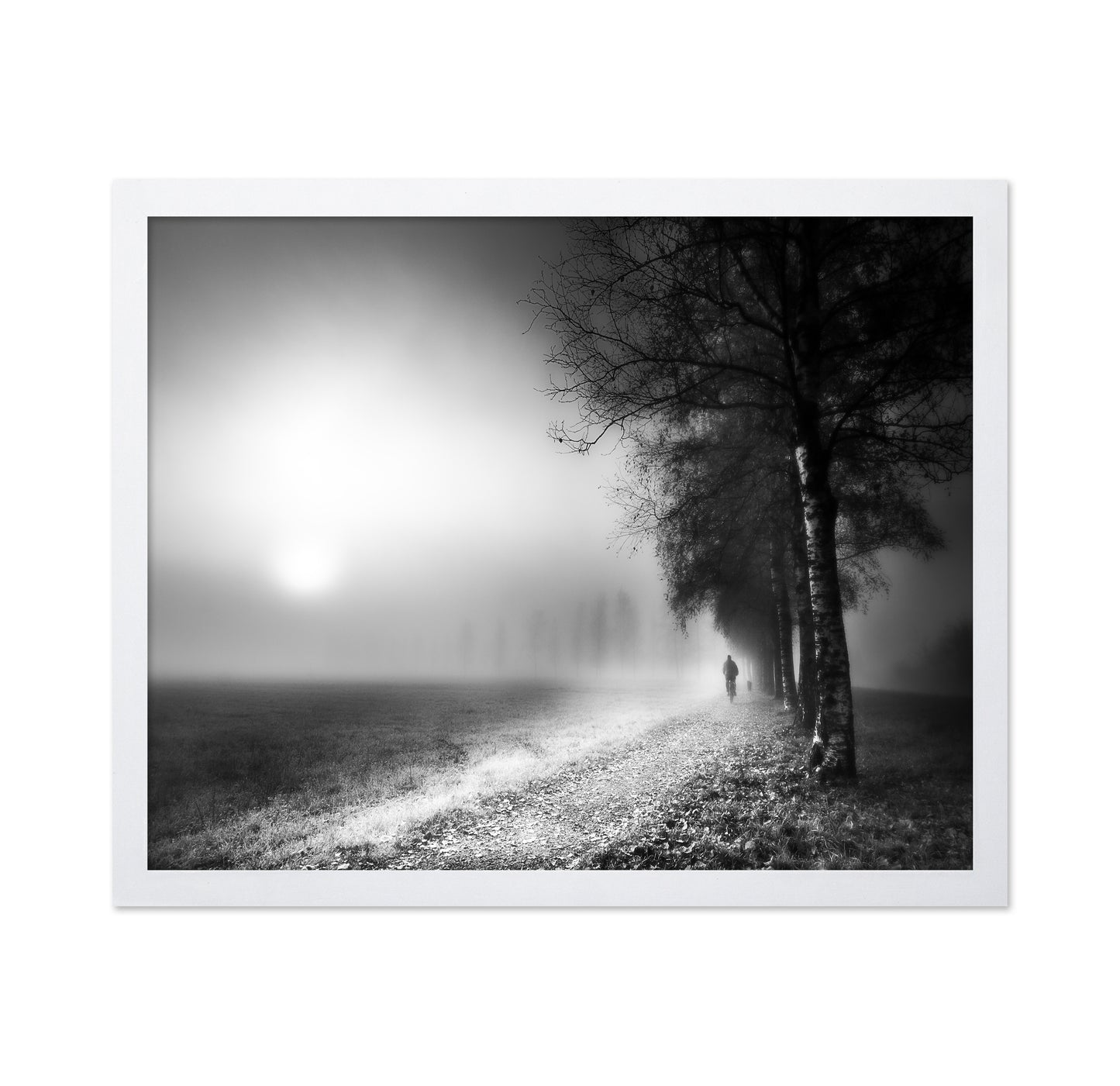 Foggy Morning