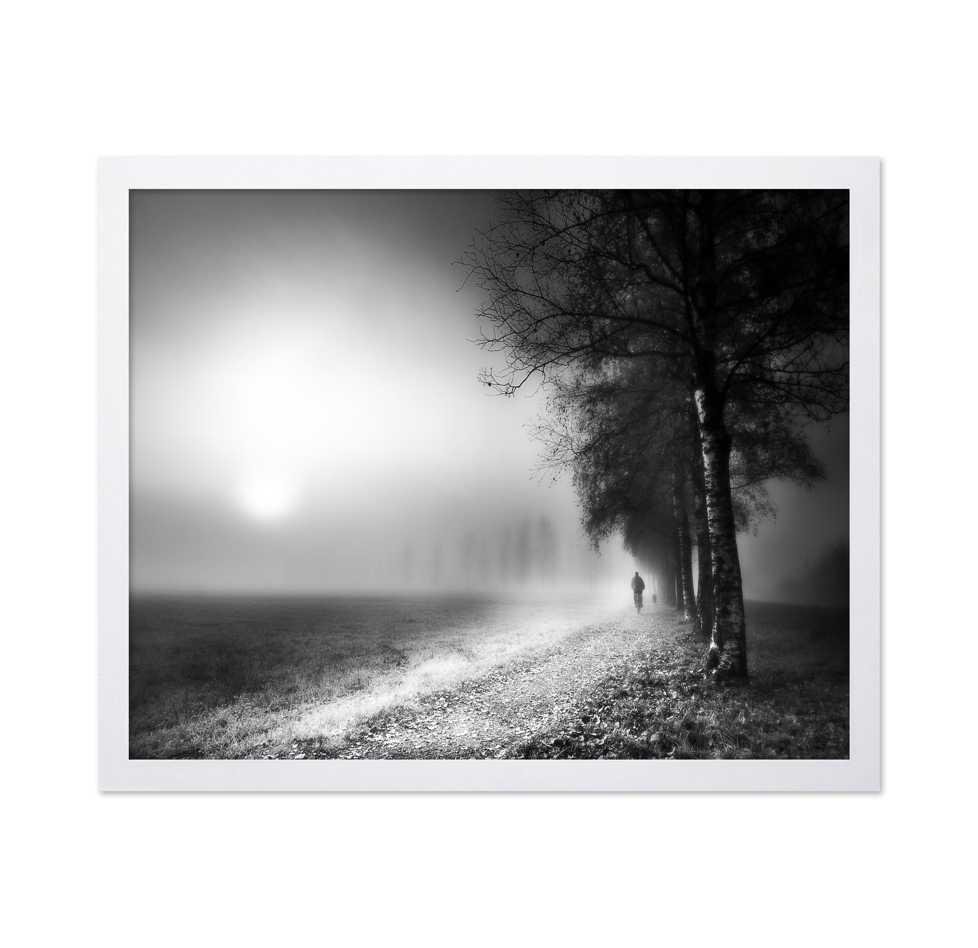 Foggy Morning
