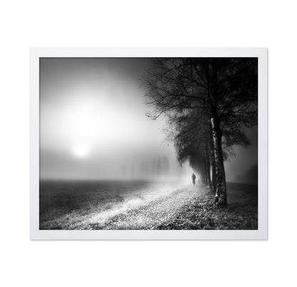 Foggy Morning