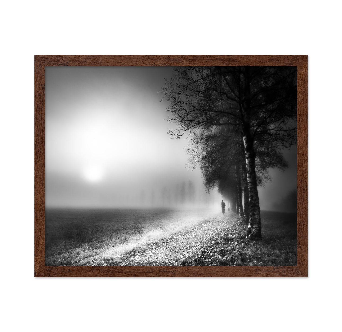 Foggy Morning