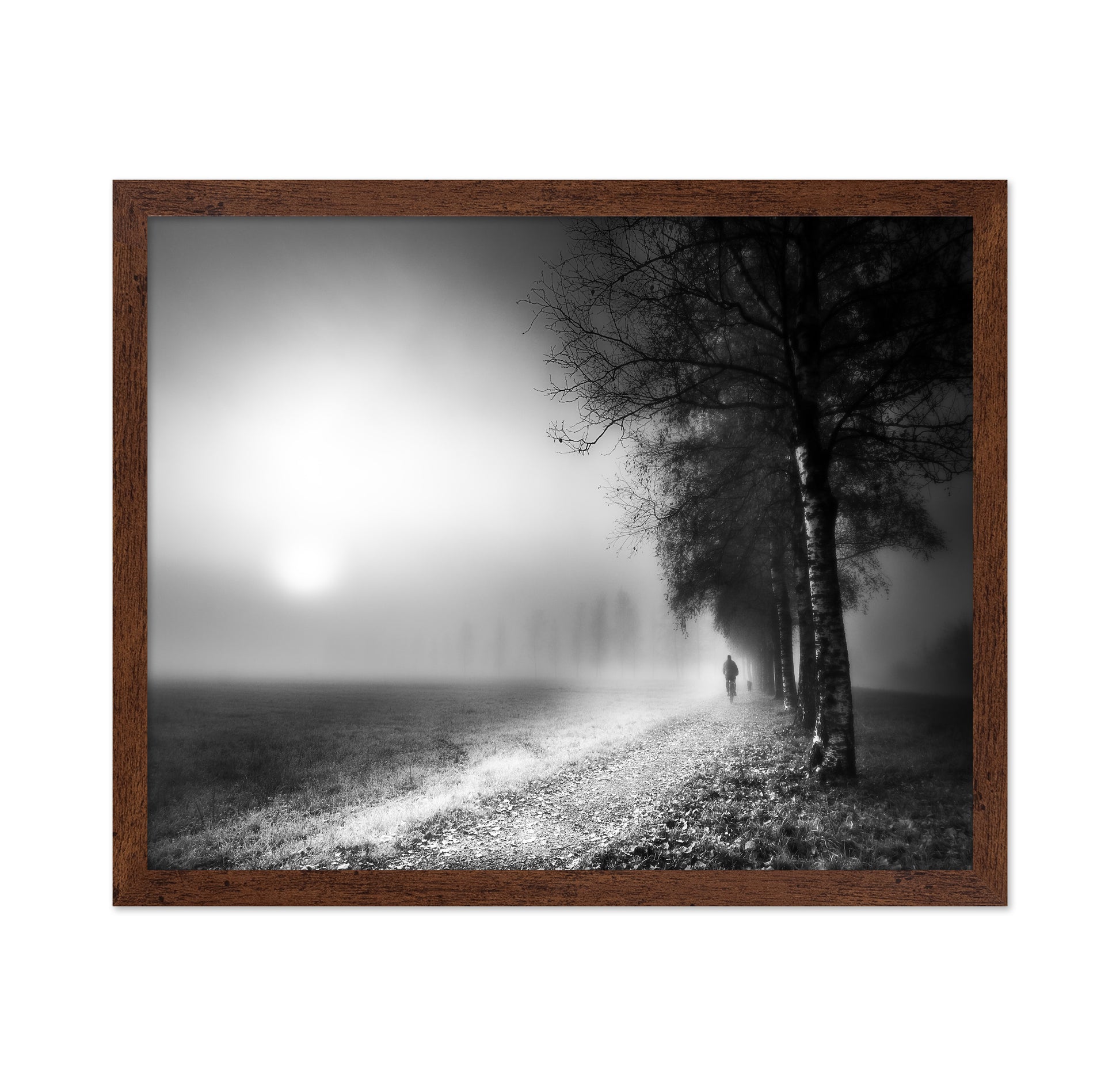 Foggy Morning
