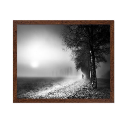 Foggy Morning