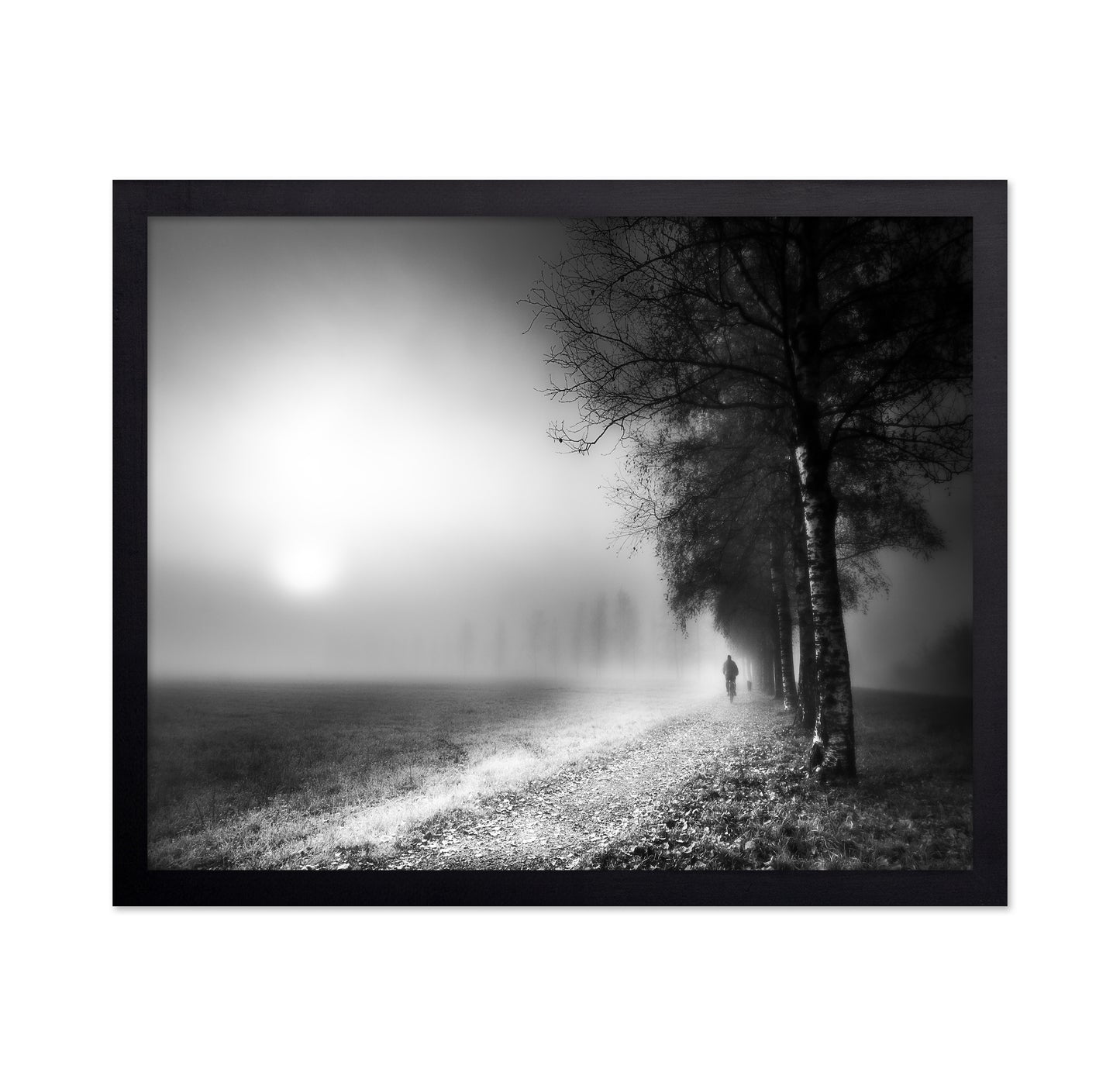 Foggy Morning