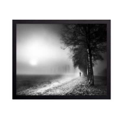 Foggy Morning