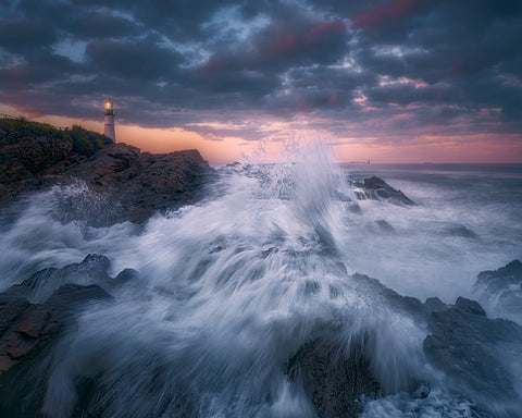 Seashore Symphony