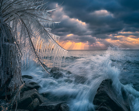 Cristal Morning
