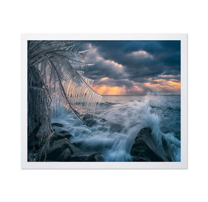 Cristal Morning