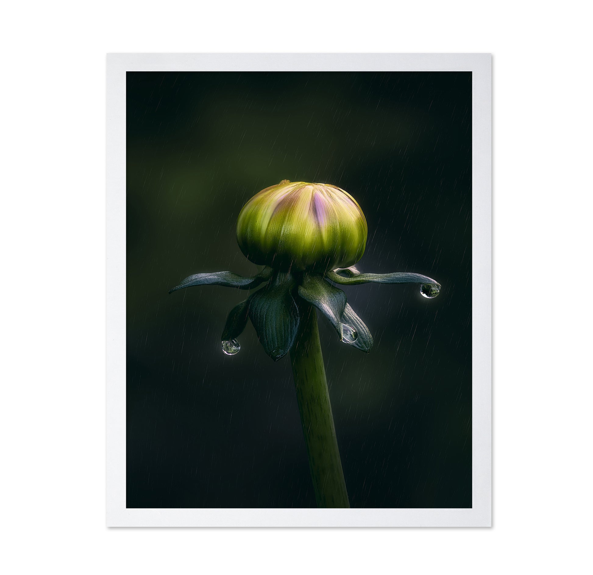 Dancer In The Rain