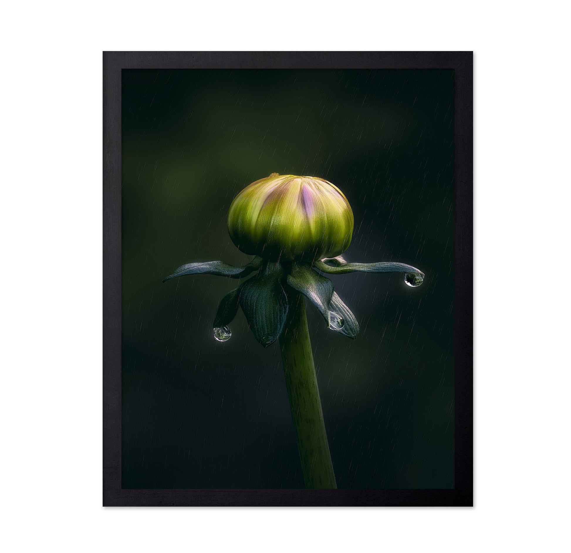 Dancer In The Rain