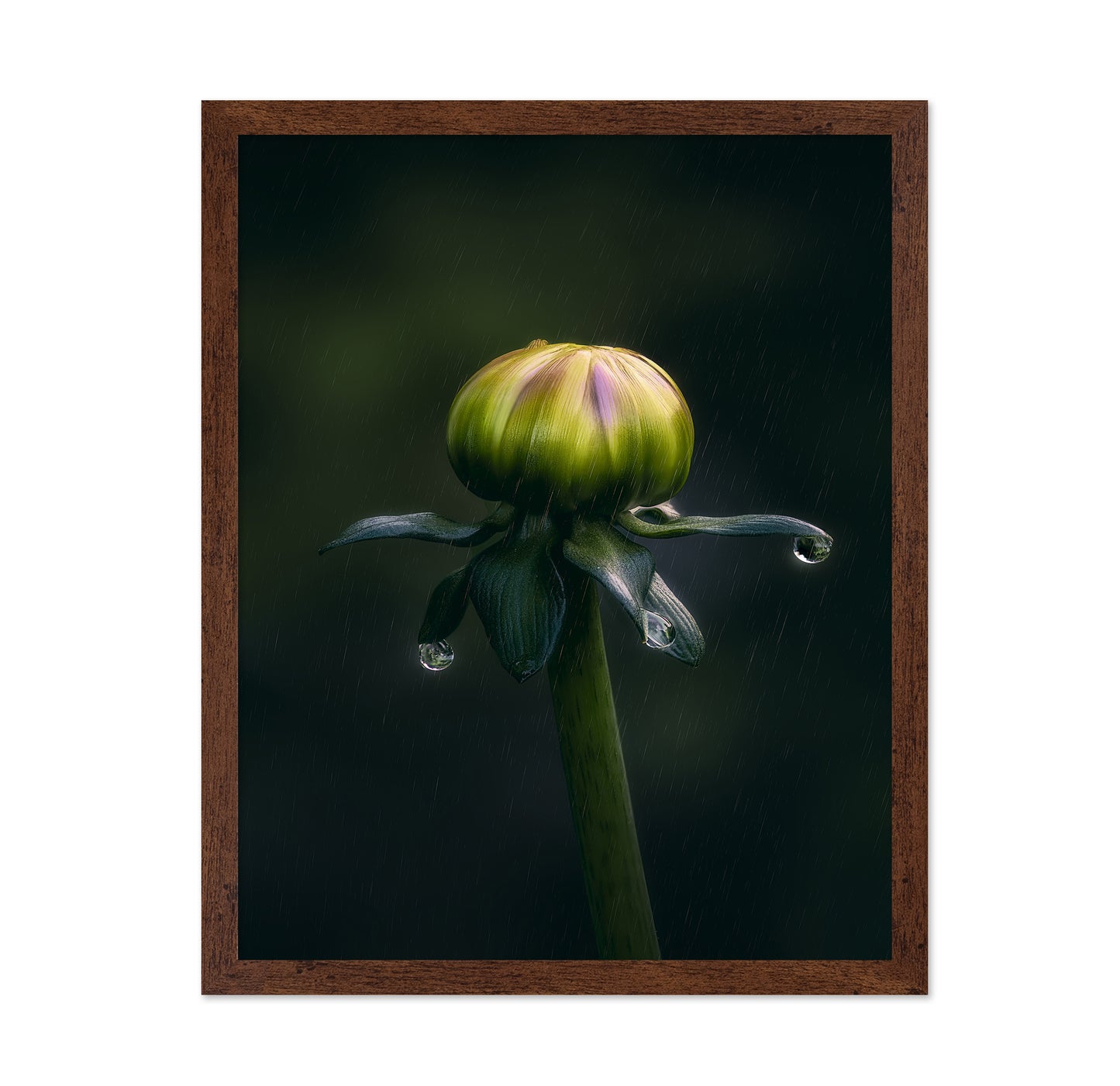 Dancer In The Rain