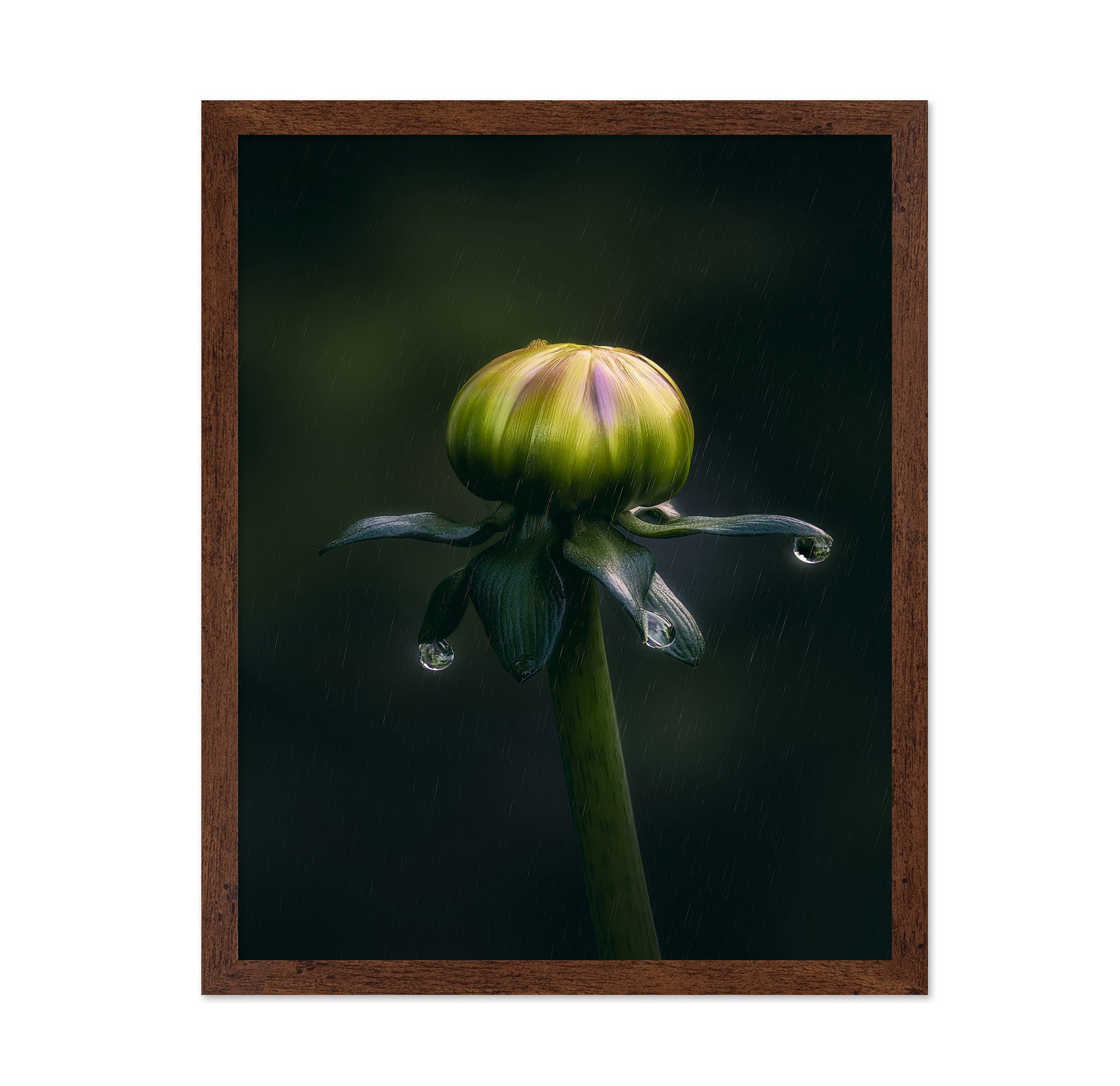 Dancer In The Rain