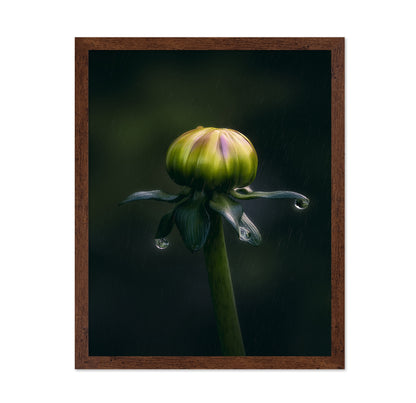 Dancer In The Rain