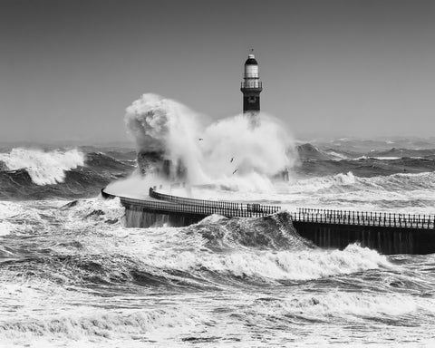 Power Of The Sea