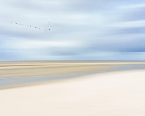 At The Ocean