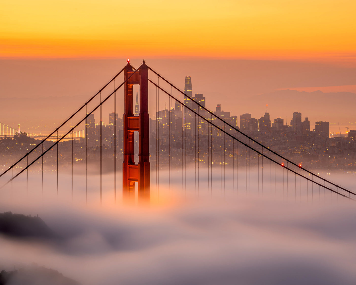 Karl The San Francisco Fog