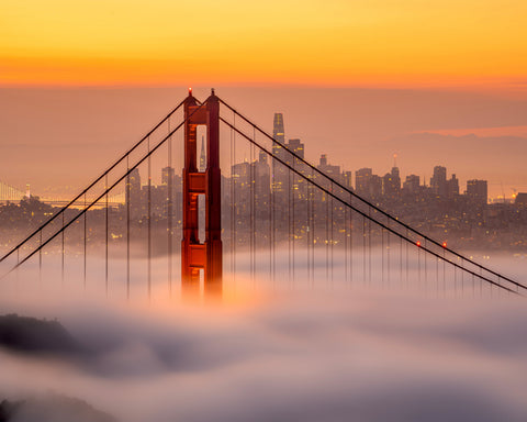 Karl The San Francisco Fog