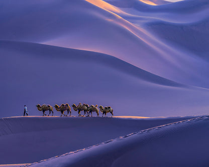 The Silk Road