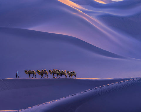 The Silk Road