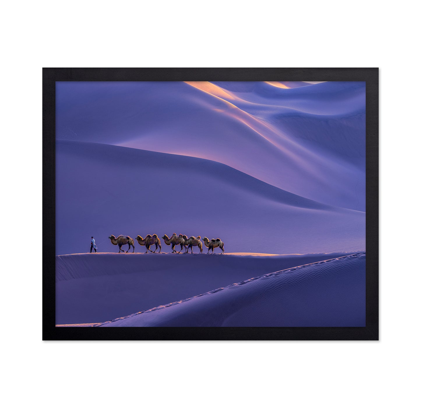The Silk Road