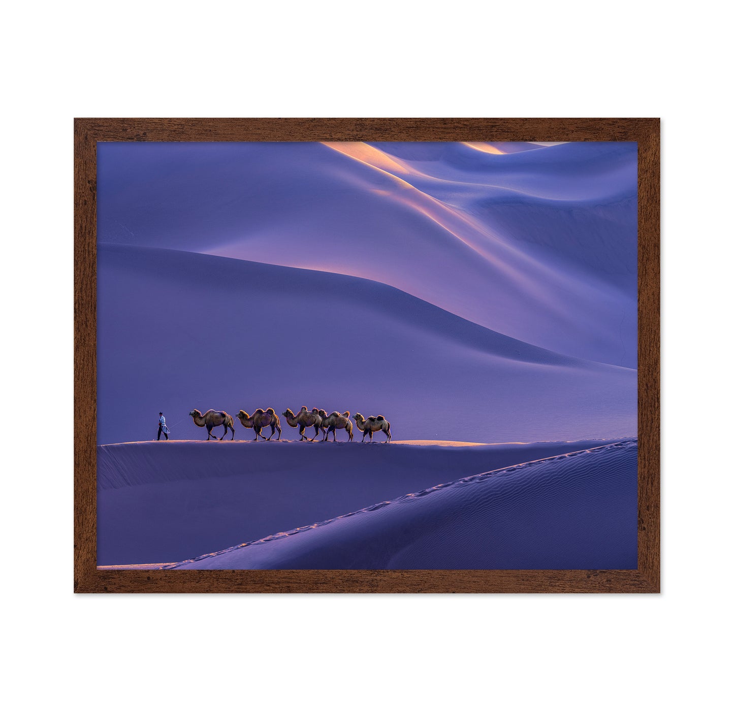 The Silk Road