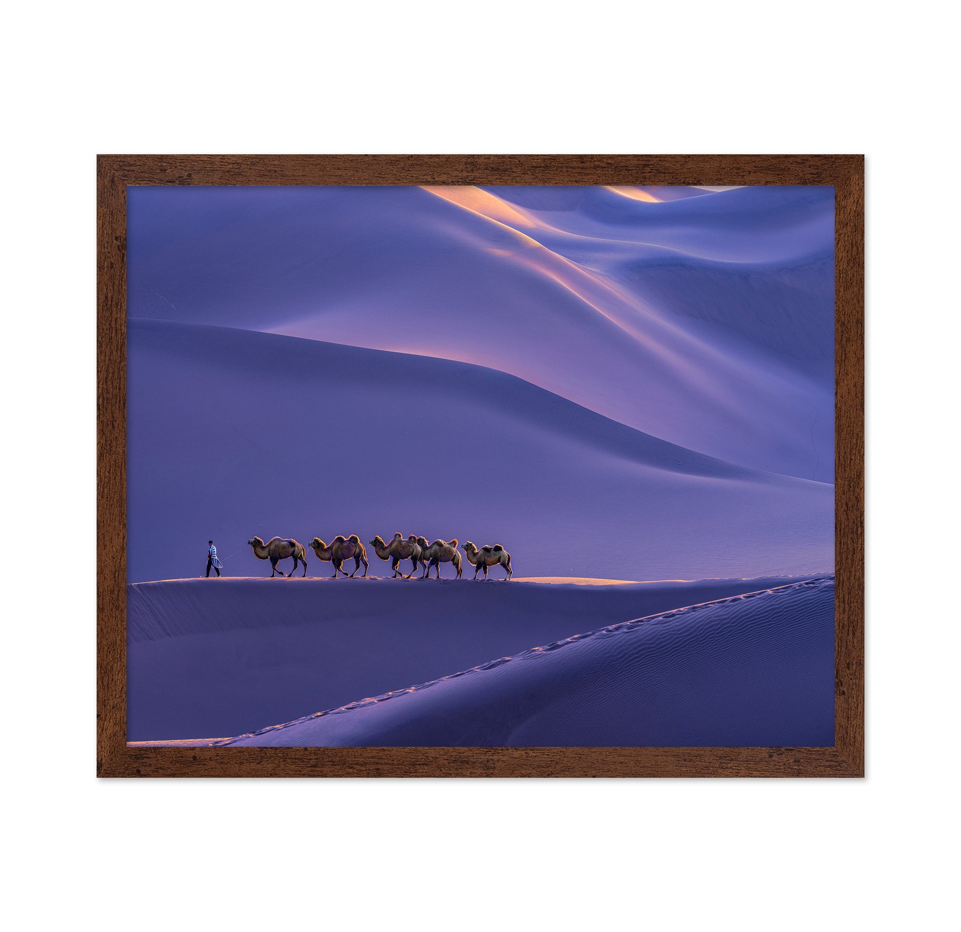 The Silk Road