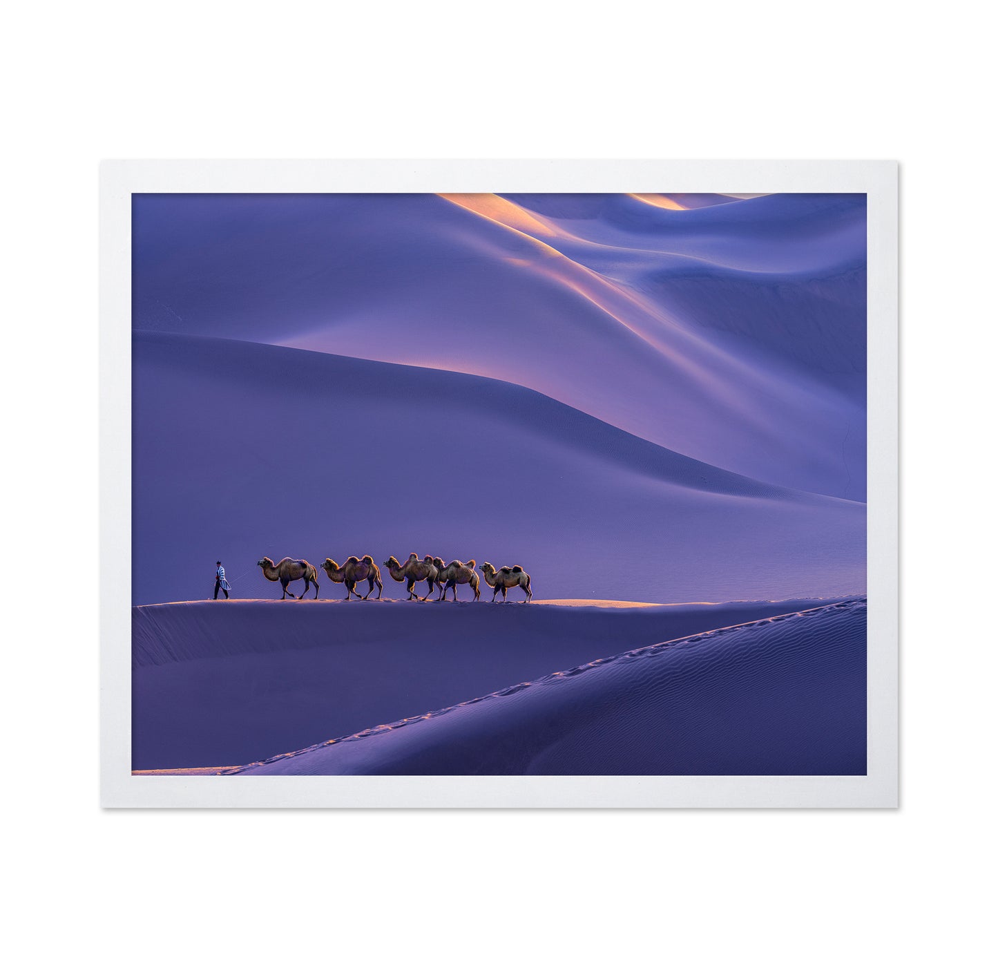 The Silk Road